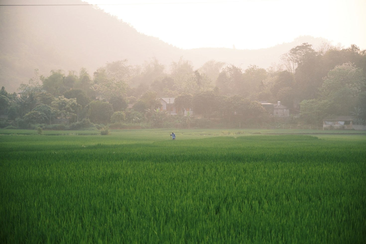 The Ultimate Guide to Personalized Travel Experiences