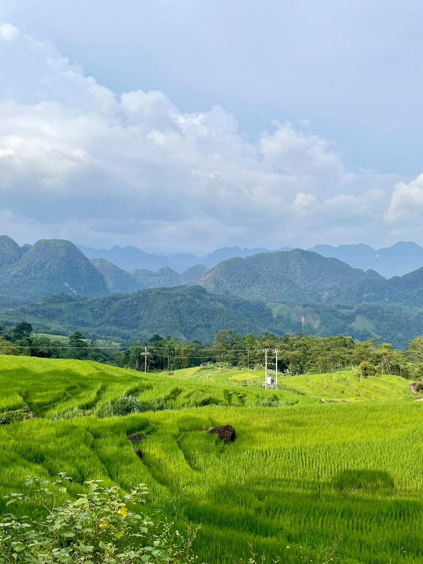 Making Memories: The Art of Curated Travel